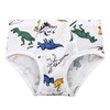 Cczmfeas Boys All Cotton Briefs Underwear Toddler Panties Pack of