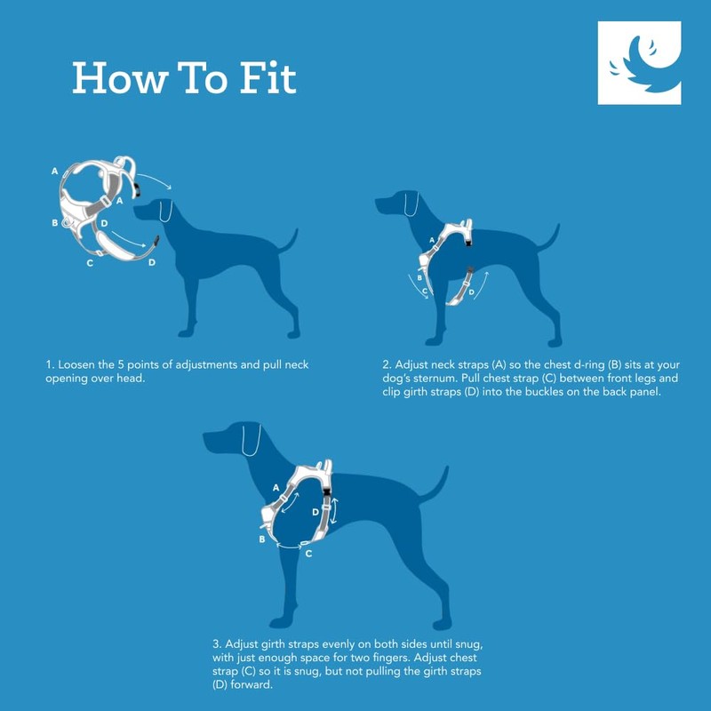 RC Pet Products Momentum Dog Harness, X-Large, Dark Teal