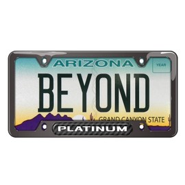 iPick Image Made for Ford Platinum Real Carbon Fiber Insert Gunmetal Chrome Stainless Steel License Plate Frame