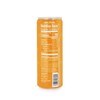 Yerbaly Mango Natural Energy Drink