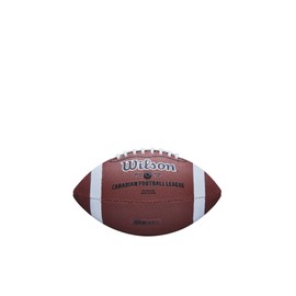 Wilson WTF1601IDCCTC CFL Game Ball Replica Mini