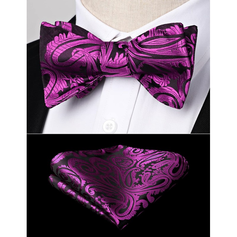 HISDERN Men's Bow Ties Paisley Bow Ties Self-tied Bowtie and