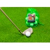 Longridge Lake Balls Mix Brands 18 Ball Bag