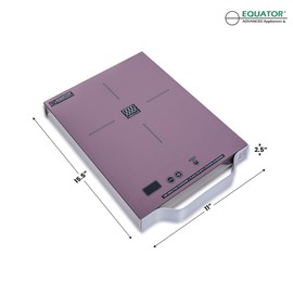 Equator 11" Portable One-Burner Induction Cooktop LIGHT AlumInum Handle 110V