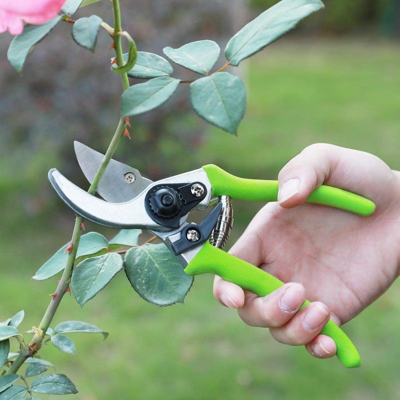 WORKPRO W151010 Limb and Branch Pruner Tool Set, Heat-Treated Steel