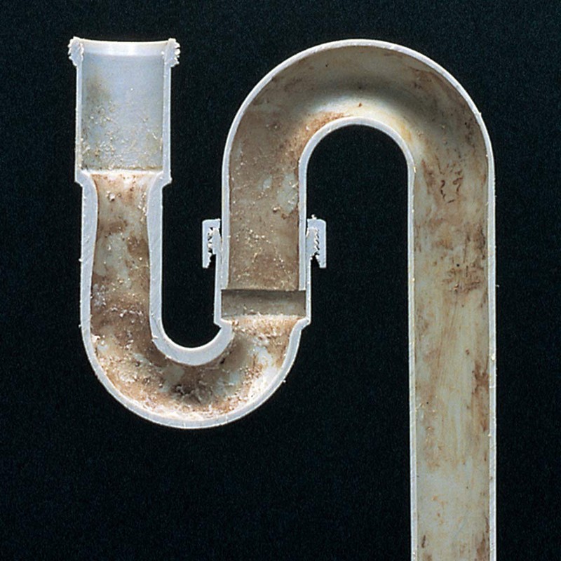 Azuma Drainage Pipe Deodorizer, Bio-Power Liquid, 1.7 fl oz (50