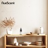 NueScent Holiday Pine Aroma Oil for Scent Diffusers - 10