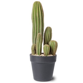 AntHousePlant Artificial Cactus Fake Cactus 16 Inch Faux Cacti Plants for Home Garden Office Store Decoration