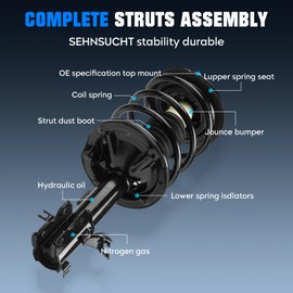 Front Complete Coil Spring Struts Assembly Shock Absorber Fit for Nissan Altima 3.5L V6 2002-2006, Pair of Hydraulic Spring Strut Shock Absorber Replace for 171427, 171426