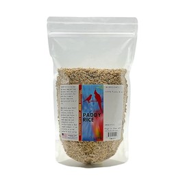 Morning Bird Paddy Rice 1.5 lbs Bird Seed for Optimal Health & Nutritious Pet Bird Food – Supports Feathers & Immunity – Ideal for All Seed Eating Birds.