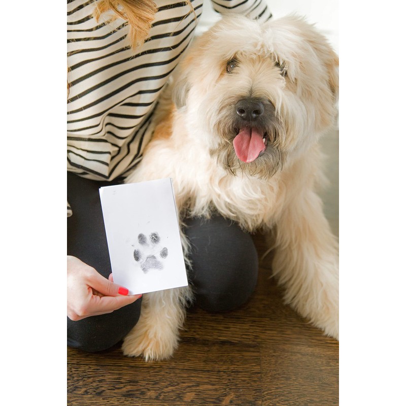 Kate & Milo Clean Touch Ink Pad, No Touch Ink