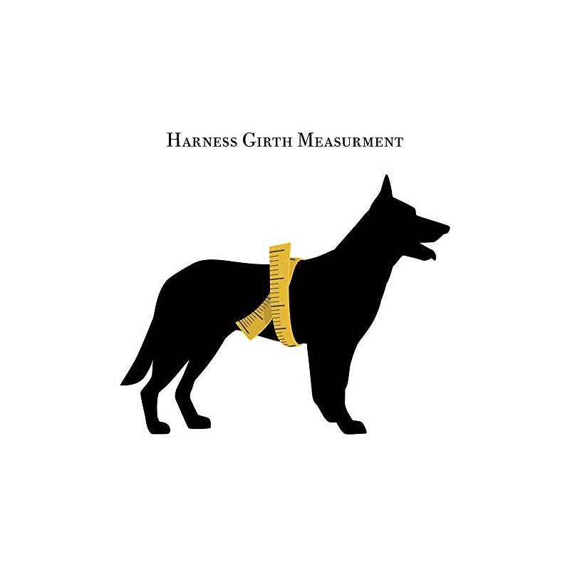 Redline K-9 All Weather Biothane Dog Harness (Medium, Orange)