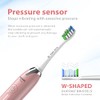 Cepillo de dientes Wagner & Stern para blanquear ultrasónico con