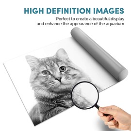 Fish Tank Background 90x45cm BW - Grey Tabby Cat Kitten Eyes | Poster Backdrop Decoration Paper #42981