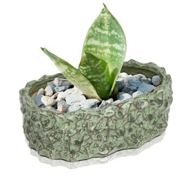 Mozing Retro Succulent Planter Ceramic Flower Pot for Indoor Outdoor, Cactus Planter Pot with Drainage Hole for Home & Office Decor