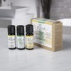 Ellia Essential Oil Set, Breath Deep, with Peppermint, Open Up
