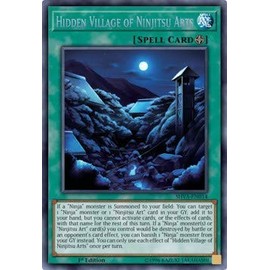 Yu-Gi-Oh! - Hidden Village of Ninjitsu Arts - SHVA-EN014 - Secret Rare - 1st Edition - Shadows in Valhalla