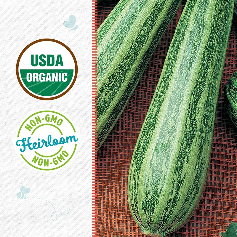 Back to The Roots 100% Organic Seed Packet - Squash