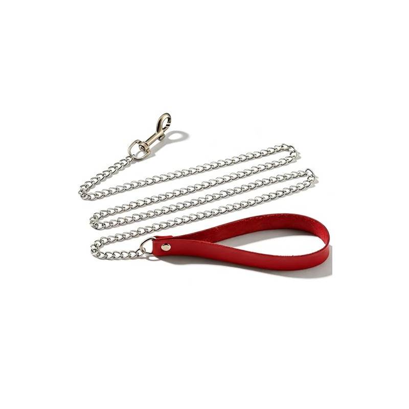 Long Dog Leash 47 inches Metal Chain Pet Leash with