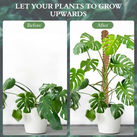 10 Pack Moss Pole for Plants - 25 Inch Bendable Plant Stakes for Indoor, Moss Poles for Climbing Plants, Handmade Coco Coir Pole Plant Support for Creeper Plants Grow Upwards