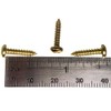 100pc. #4 x 1/2" Brass-Plated Phillips Round-Head Wood Screws