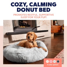 Active Pets Large Dog Bed, Calming Orthopedic Pet Bedding for Anxiety Relief, Joint Support & Comfort, Washable Dog Furniture, S 25lbs, Beige