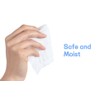 Advanced Large 75% Alcohol Hand Sanitizing Wipes, 4 Packs of