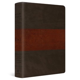 ESV Study Bible, Personal Size (TruTone, Forest/Tan, Trail Design)