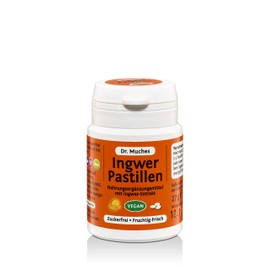 Ingwer Pastillen Dr. Muches | Zum Lutschen oder Kauen | Ingwer-Kick für Zwischendurch | Vegan und in Bio-Qualität | 1x27 gr