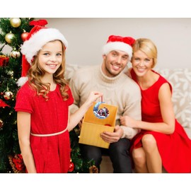 D4DREAM Elephant Christmas Ornaments for Christmas Tree Acrylic Elephant Christmas Tree Decoration Elephant Hanging Ornaments for Kids Elephant Keepsake Gifts for Christmas New Year Party Supplies