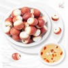 Gorgon Fruit 17.6oz Dried Gorgon Qian Shi