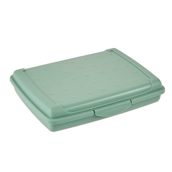 keeeper Food Storage Container with Click Closure, 17 x 13 x 3.5 cm, 500 ml, Luca Mini, Nordic Green