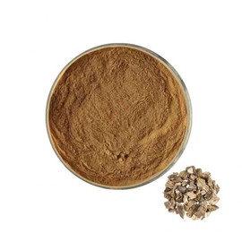 Chicory Root Extract Powder 100g Sample