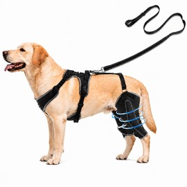 RDOPODNJ (M Dog Rear Leg Brace with Safety Harness and Leash, Adjustable Hind Leg Knee & Hip Support Wrap for Senior Dogs, Removable Straps for Weak Back Legs, Arthritis or Hip Dysplasia Support (M)
