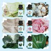 Salking Essential Oil Fresh Clean 12 x 10 ml -1