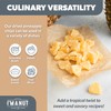 Premium Dried Pineapple Chunks 48oz | Non-GMO, Batch Tested Gluten