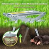YardYield YardYield Mole Trap,Reusable Mole Gopher Trap,Galvanized Steel Mole Scissor