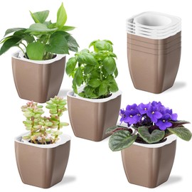 Oliz 8 Pack Self Watering Pots 4-inch Decorative Flower Planters for Indoor Plants Modern Square planters for Small Plants Window Sill Planters for Succulents, African Violets, Herbs(Sliver Gold)