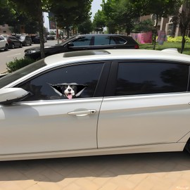 Car Sticker 25 cm (9.8 Inch) Border Collie Sticker Border Collie Car Sticker Pet Dog Waterproof Sticker 3D Torn Metal Reflective Sticker Decorative