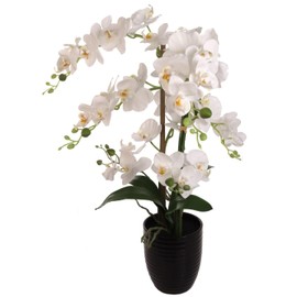 Larksilk 1-Piece 22" x 18" Phalaenopsis Orchid, White in 5" Black Ribbed Pot, Realistic Faux Plant with 34 Flowers, Perfect for Home & Office Decor