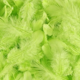 iHUFeather 600pcs Lime Green Feathers for Crafts 3-5inch Bulk Colored Feathers for DIY Crafts, Wedding Home Party decoration
