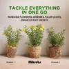 Mikrobs - Microbial Superpack for Living Soil. Revitalize Plants (8