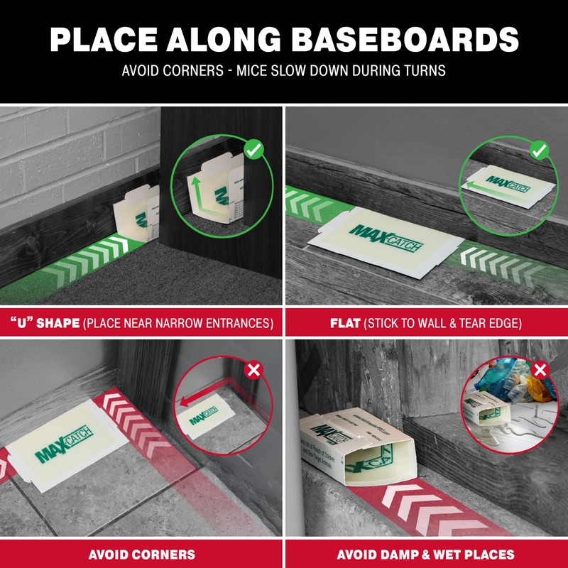 Catchmaster Max-Catch Mouse & Insect Glue Trap 72pk, Mouse Traps