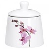 Van Well Kyoto Orchid - Various Sets to Choose From