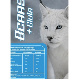 Bcaas  Glutamina Linx Fit 1kg 50 Servicios Varios Sabores