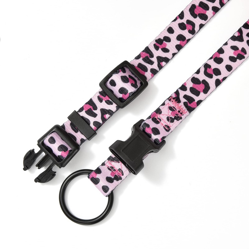 Mile High Life | Dog Collar | Cute Patterns |
