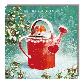 Tracks Publishing Charity Christmas Cards Pack of 5 - Charity Christmas Cards 2024 with a Snowy Robins and Holly Design - Eco-Friendly Xmas Cards Multipack with Envelopes