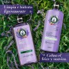 Kit Shampoo Y Acondicionador 600 ML C/U Herbal Essences