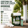 Tree Paint, 35 Oz White Trunk Paint Protection for Fruit,