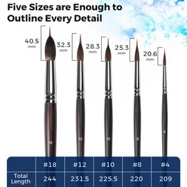 Professional Watercolor Brushes Set - 5Pcs Extra Long Needle Point Detail Brushes,Two - layer Liner Sable/Horse hair Brush for Fine Line Work,Gouache,Acrylic,Models,Artist Grade Painting Tools (Black)